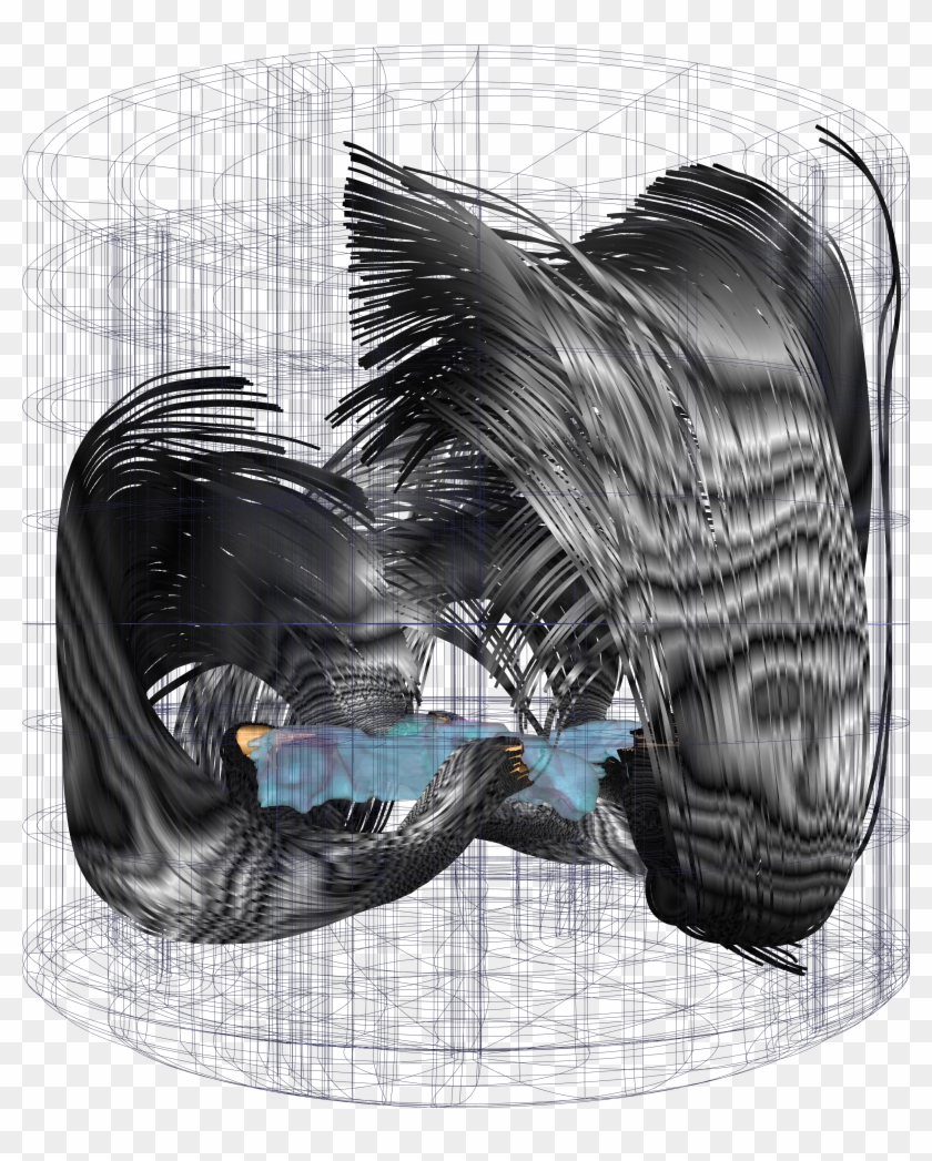 Stream Energy Zebra Side - Sketch Clipart
