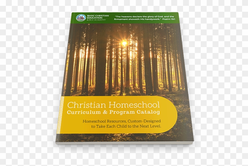 Homeschool Curriculum & Programs - Graphic Design Clipart