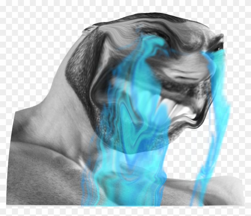 13 Mb Png - Companion Dog Clipart #5419025