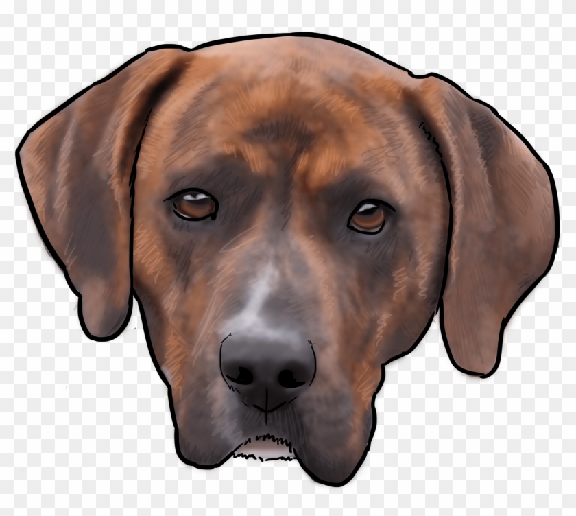 This Week On “why Are You A Dog” We Talk About The - Rhodesian Ridgeback Clipart #5419257