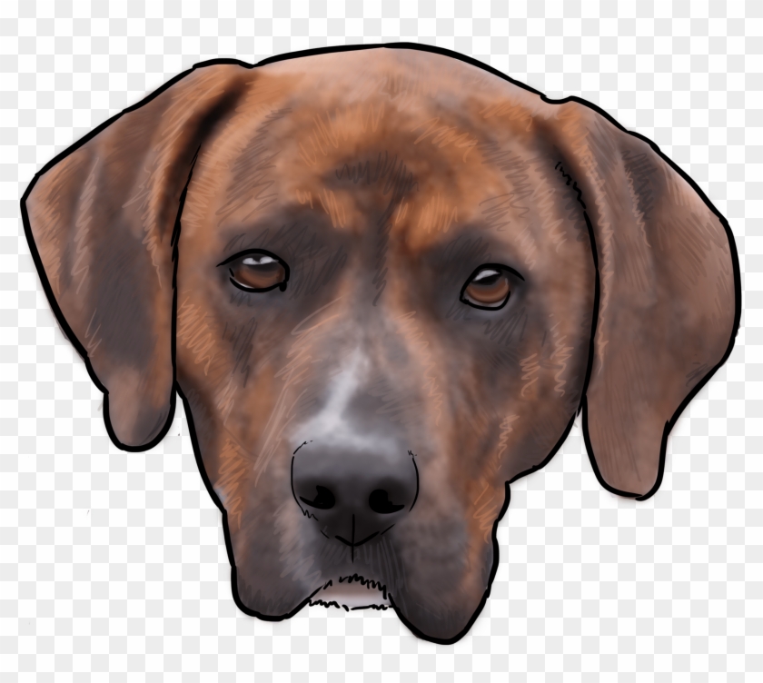 This Week On “why Are You A Dog” We Talk About The - Rhodesian Ridgeback Clipart