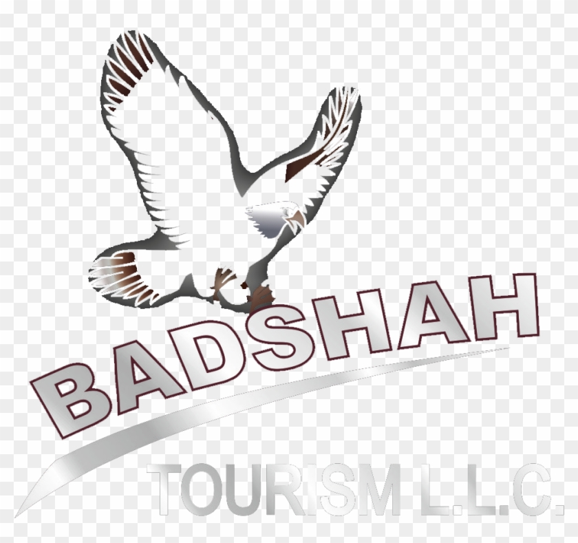 Home - Red-tailed Hawk Clipart #5421949