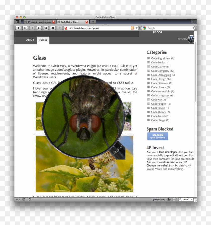 Glass Plugin - Magnifying Glass Wordpress Plugin Clipart