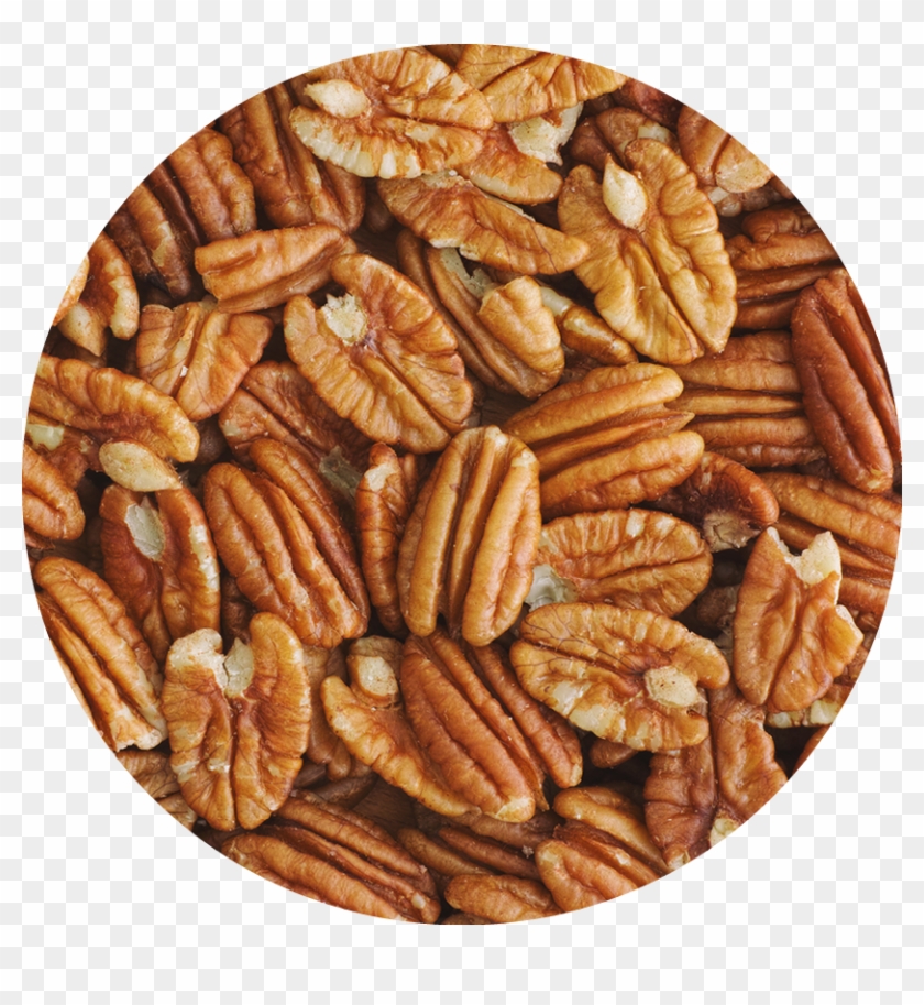 Georgia Pecan Grower Leverages A First American Lease - Pastry Clipart #5422734