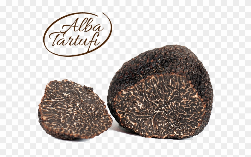Black Truffle Fine<br />truffe Noire Précieuse Du Piémont - Truffle Transparent Clipart #5423323