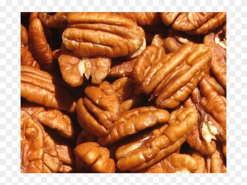 Pecan Nuts Clipart #5423735