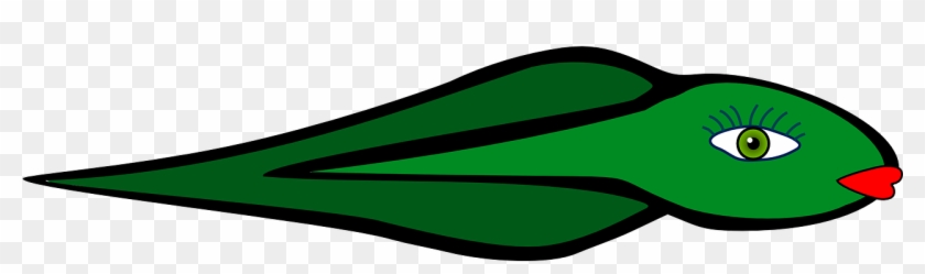 Polliwog Tadpole Frog Animal Png Image Clipart