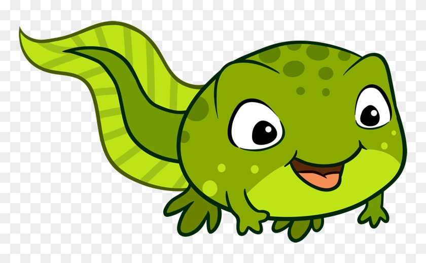 Tadpoles 0-2 - Cartoon Tadpoles Clipart #5427708