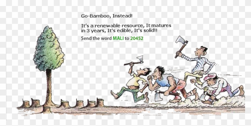 Kitil Farm Bamboo Clipart