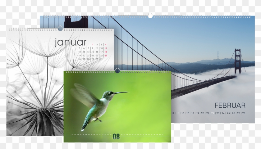 Image Composition, Exposure And Colour - Ruby-throated Hummingbird Clipart