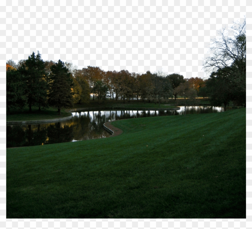 50 Years Of The Arch - Grass Clipart #5433027