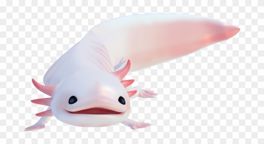 Axolotl Png - Real Axolotl Png Clipart #5434258