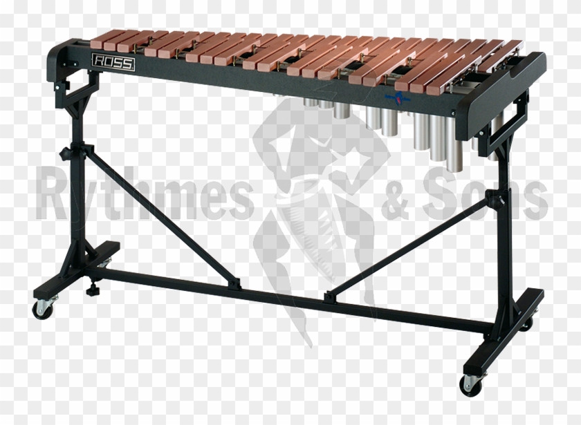 Ross Prolon Xylophoneprolon - Ross Xylophone Clipart #5434401