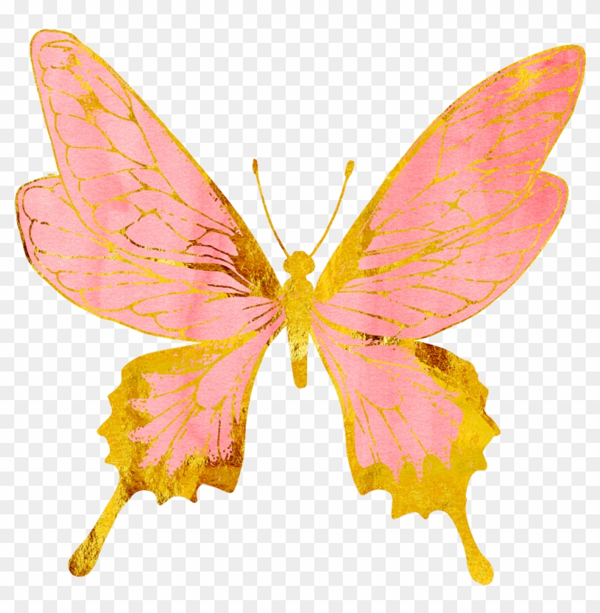 #butterflies #butterfly #pastel #pink #rosegold #gold - Pink And Gold Butterfly Clip Art - Png Download