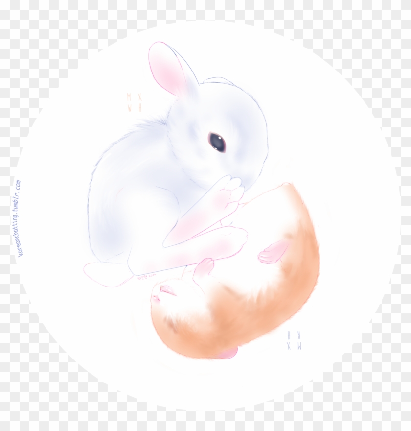 No Text Today, So Here Is A Quick Drawing I Made Of - Domestic Rabbit Clipart #5435539