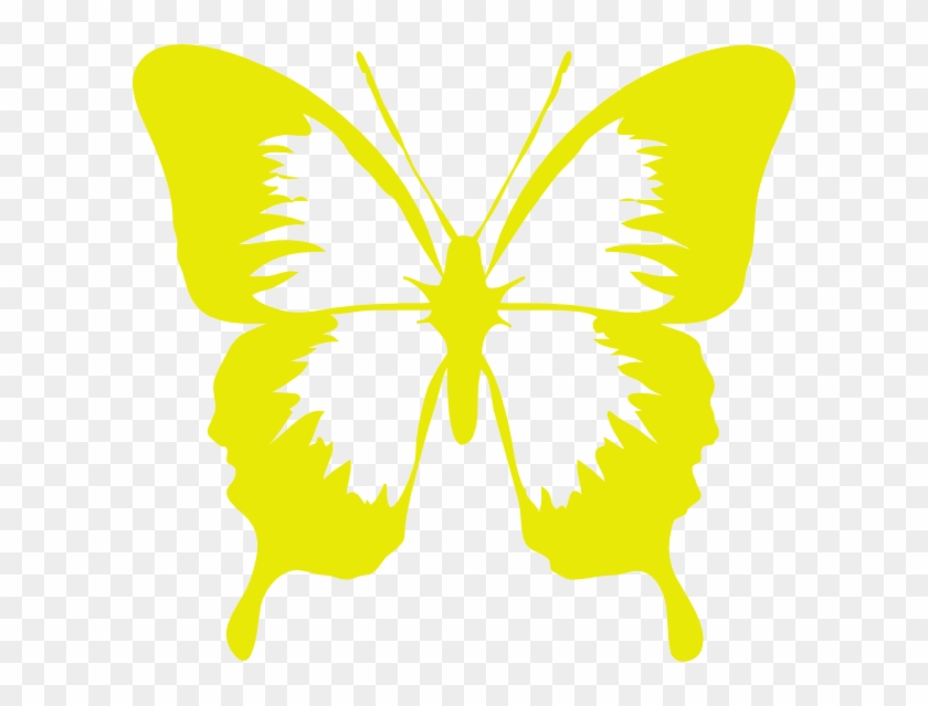 Butterfly Tattoo Wallpaper For Iphone 6 Clipart