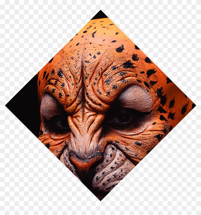 Face With Flower Cover Jaguar Makeup - Tiger Clipart