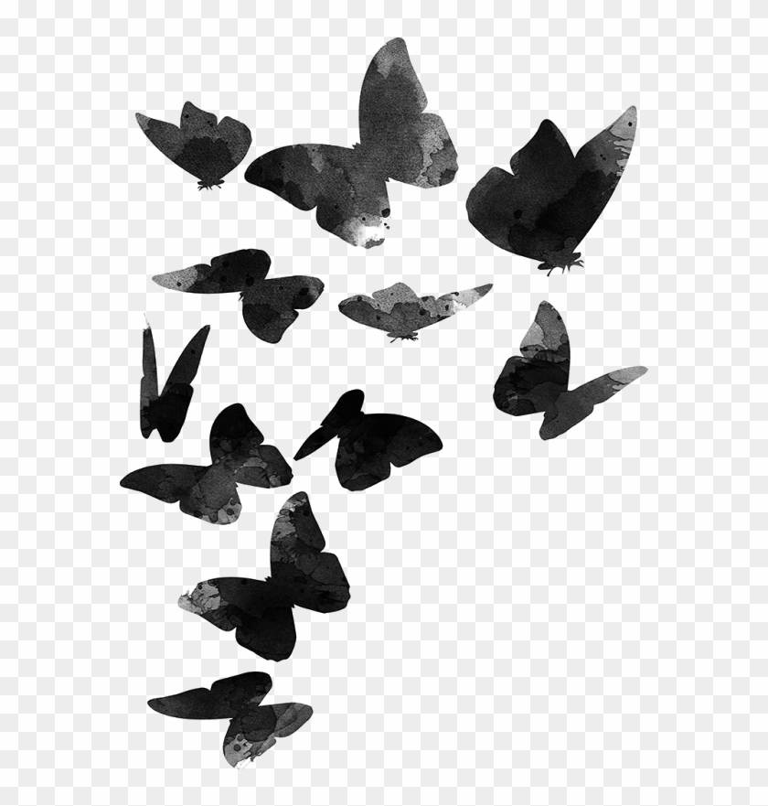 Bird & Tree Png - Walk In The Woods Png Clipart #5438399