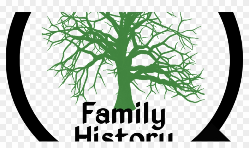 Murphy Family Reunion Includes Review Of Family History - Tree Clipart #5439845