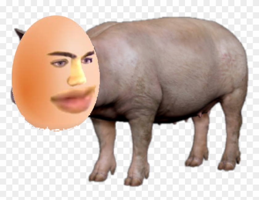 I Spent 37 Hours Making This Mizkifpig Emote - Свинья Пнг Clipart