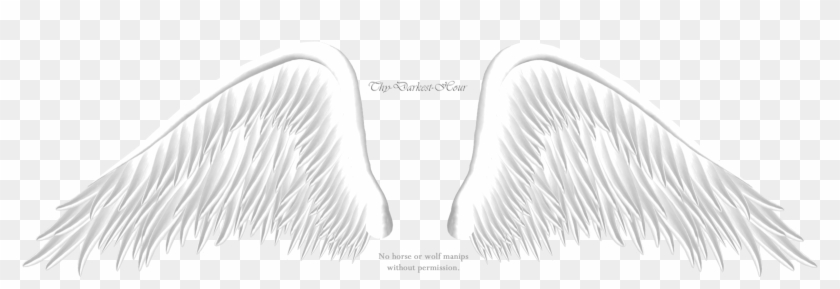 Angel Wing Png - Anime Angel Wings Png Clipart #5440546