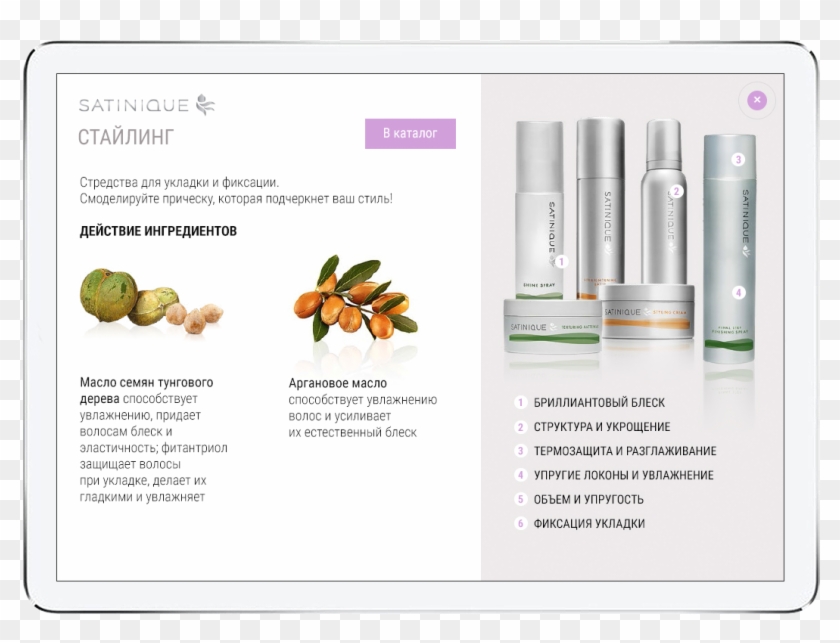 Not To Overload The Site, I Placed Here Only The Key - Plataforma De Vida Clipart