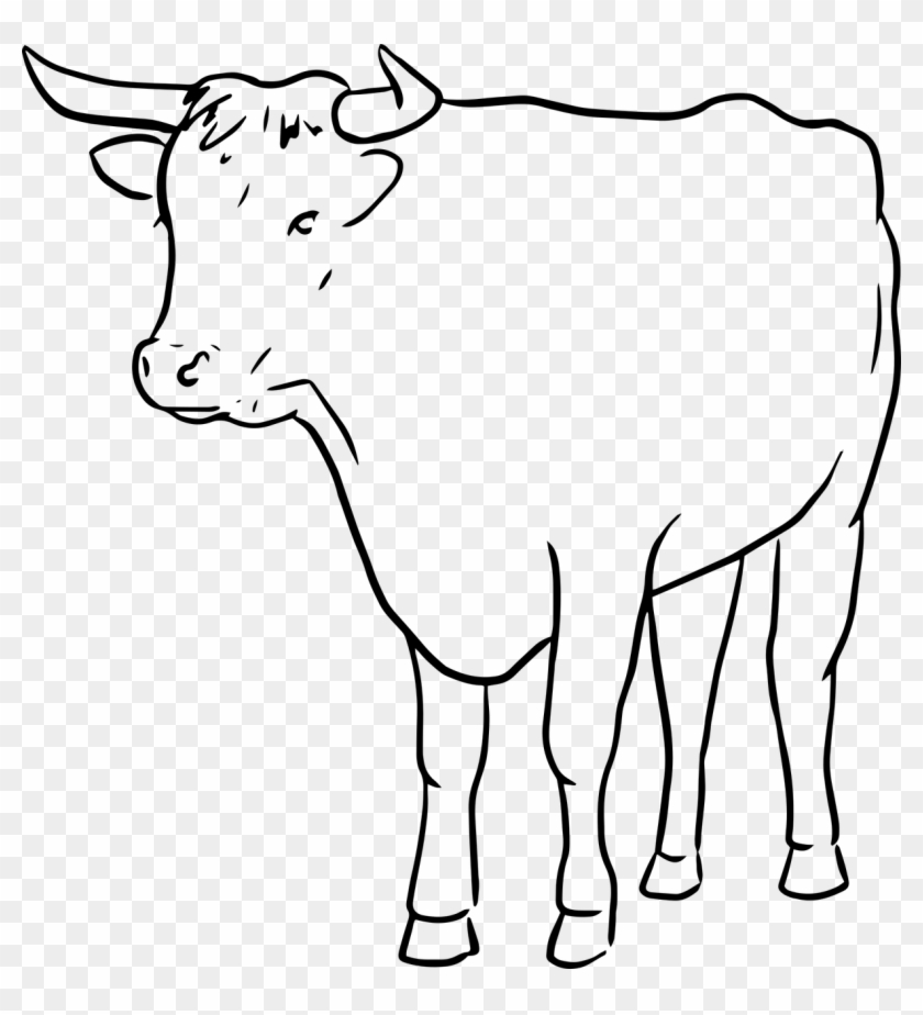 Vector Graphics, - Line Drawing Of A Bull Clipart #5442007