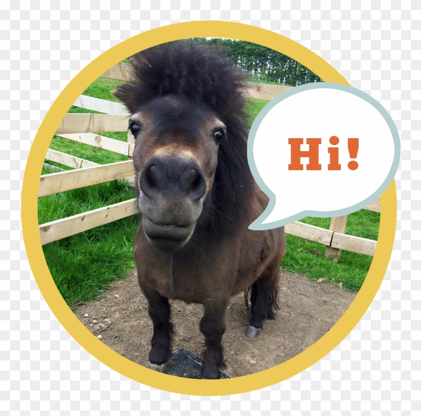 Little Alf Says Hello - Working Animal Clipart #5442658