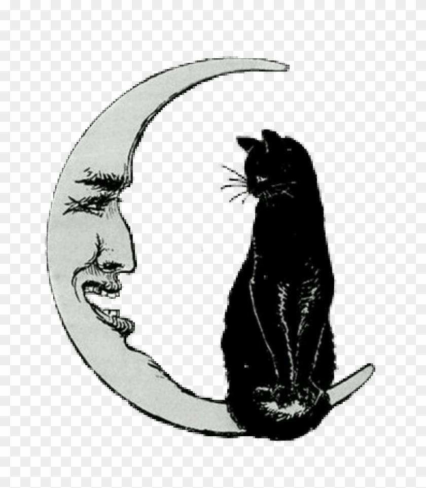 Halloween Png Vintage - Cat On The Moon Clipart