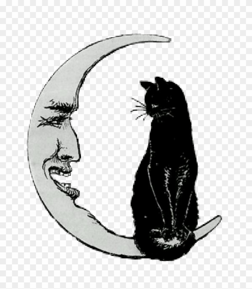 Halloween Png Vintage - Cat On The Moon Clipart #5444256