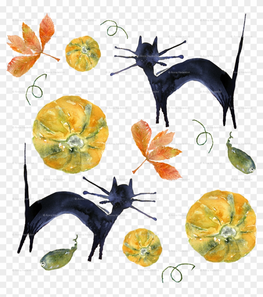 Illustration Clipart