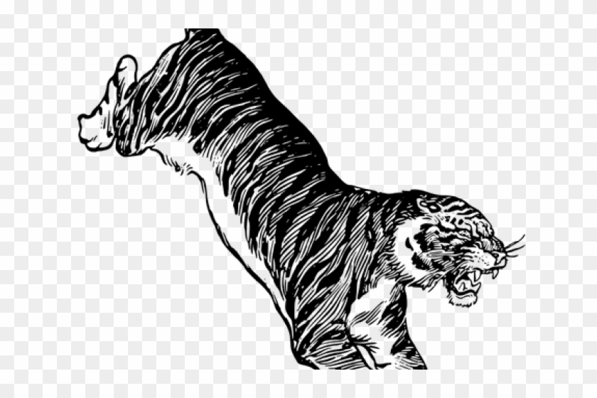 Line Drawing Of A Tiger Jumping Clipart #5444817