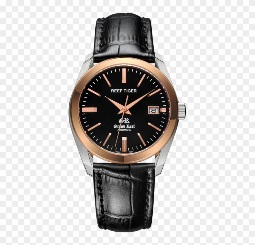 Reef Tiger Grand Reef Clipart #5445114