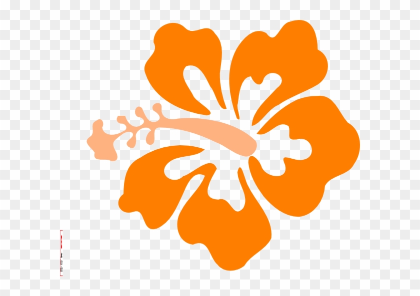Hawaii Flower Cliparts - Red Hawaiian Flower Drawing - Png Download