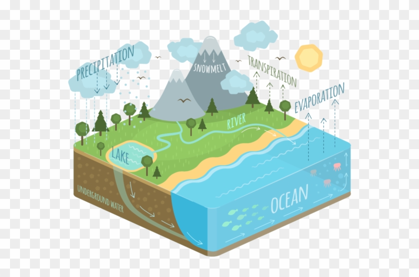 Conserving Land Where The Raindrops Fall Is An Immediate - Water Cycle Diagram Clipart #5446791