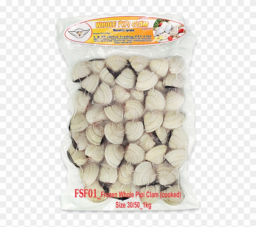 [fsf01] Frozen Whole Pipi Clam Size 30/50 - Cockle Clipart #5446855