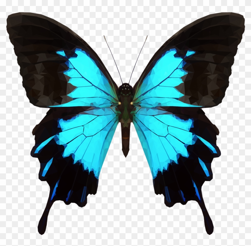 Transparent Butterfly Tumblr - Png Papilio Ulysses Butterfly Clipart