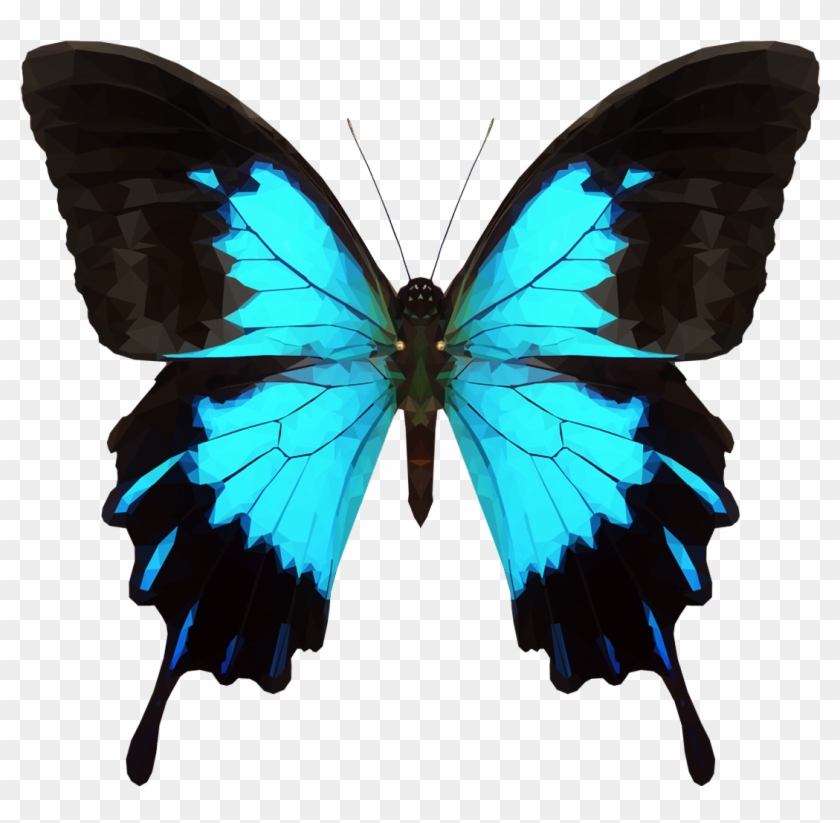 Transparent Butterfly Tumblr - Png Papilio Ulysses Butterfly Clipart #5446858