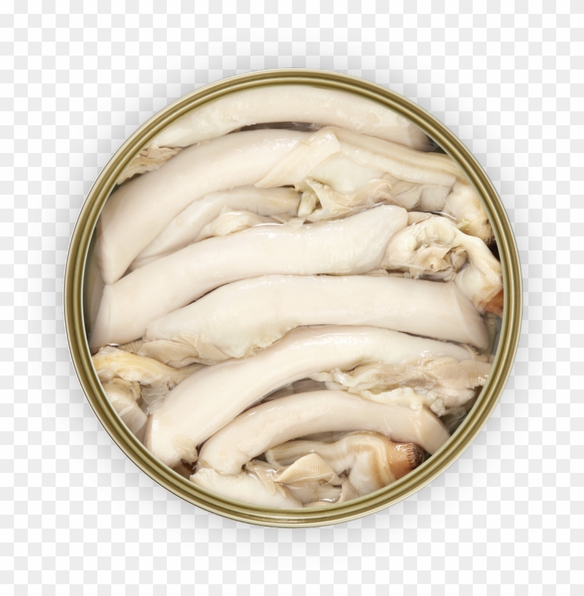 Razor Clams - Fish Products Clipart