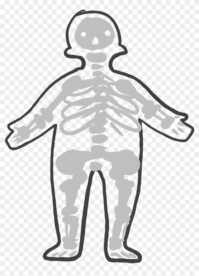 Skeletal System - Illustration Clipart #5448161