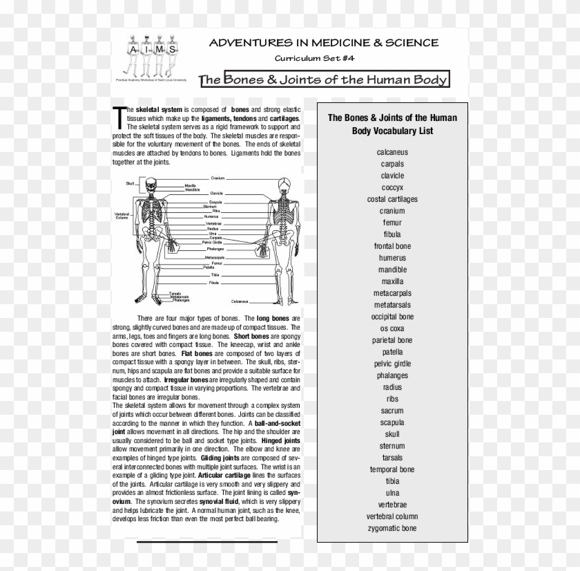 Pdf - Folio Two From Burchard Of Sion's De Locis Ac Mirabilibus Clipart