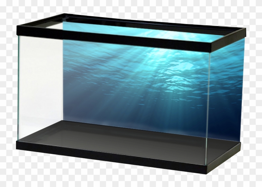 Salt Ocean - Fish Tank Ocean Backgrounds Clipart #5448278