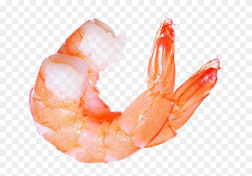Ocean Shrimp Transparent Png - Shrimp Png Transparent Clipart #5448493