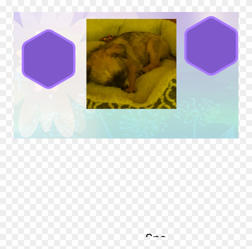 Subscribe To Lillie Of The Vale News For Cute Puppies - Indian Elephant Clipart #5448753