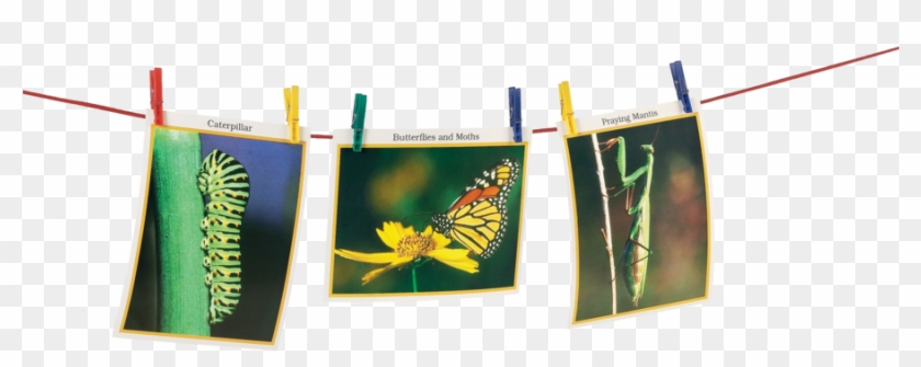 Classroom Clothesline Alternate Image B - Banner Clipart