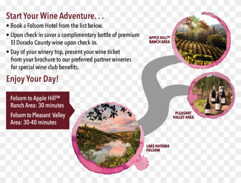 Share To Facebook Facebookshare To Twitter Twittershare - Tree Clipart