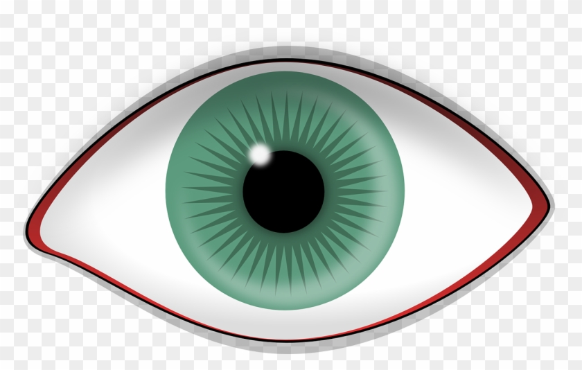 Eye Green Red-rimmed Iris Pupil Png Image - Eye With No Lashes Clipart #5451420