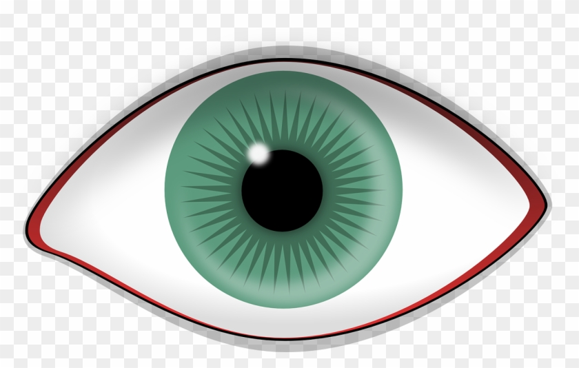 Eye Green Red-rimmed Iris Pupil Png Image - Eye With No Lashes Clipart