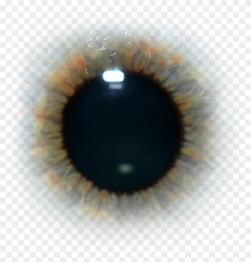 Pupil Sticker - Close-up Clipart