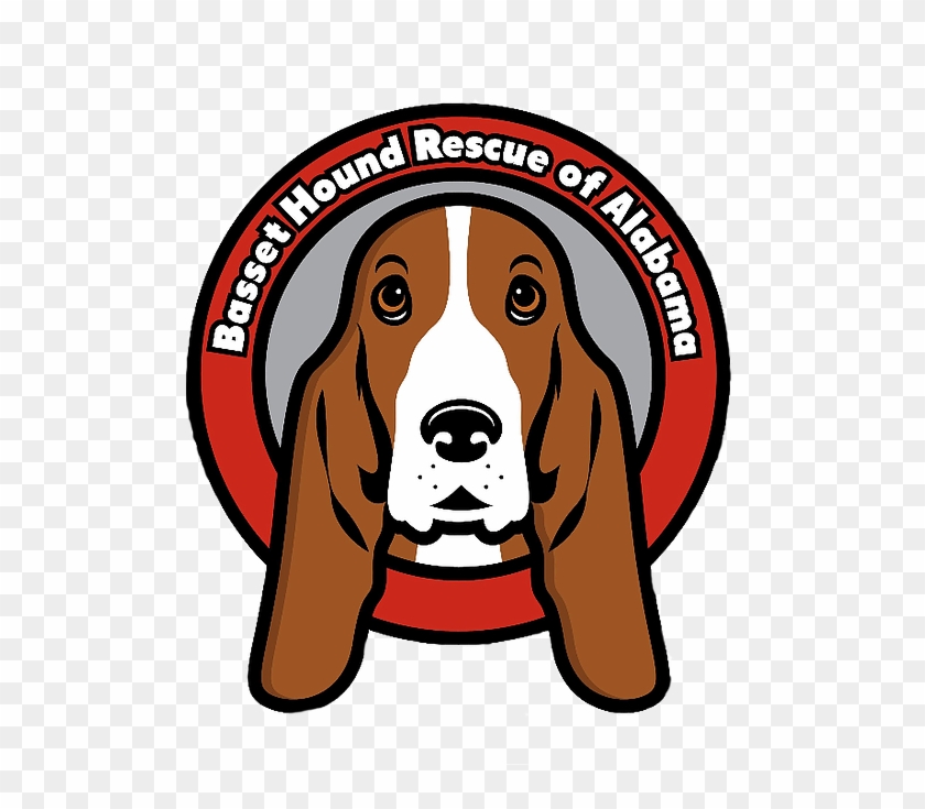 Basset Hound Png Clipart